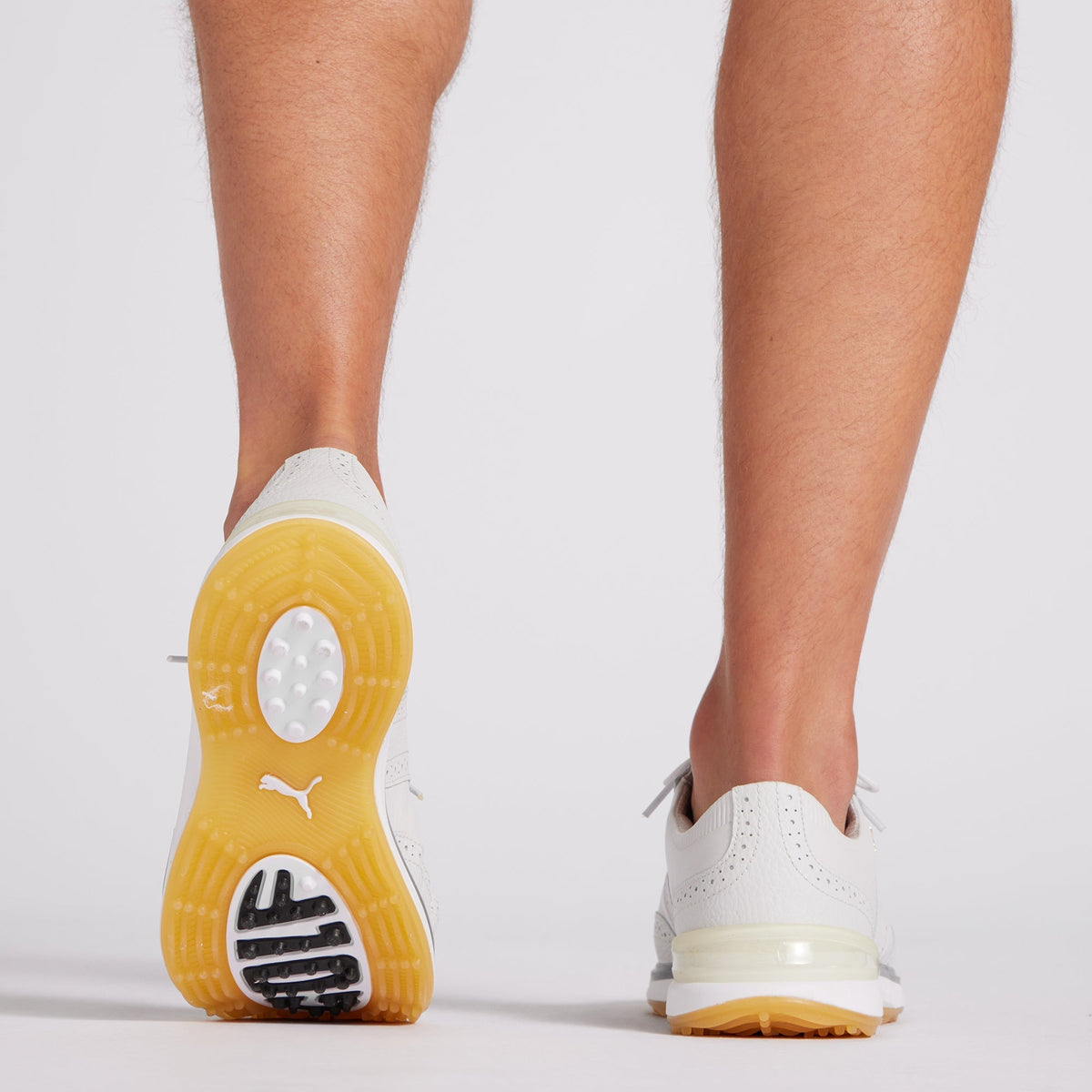 AVANT Wingtip Spikeless Golf Shoes / Puma Golf Premium