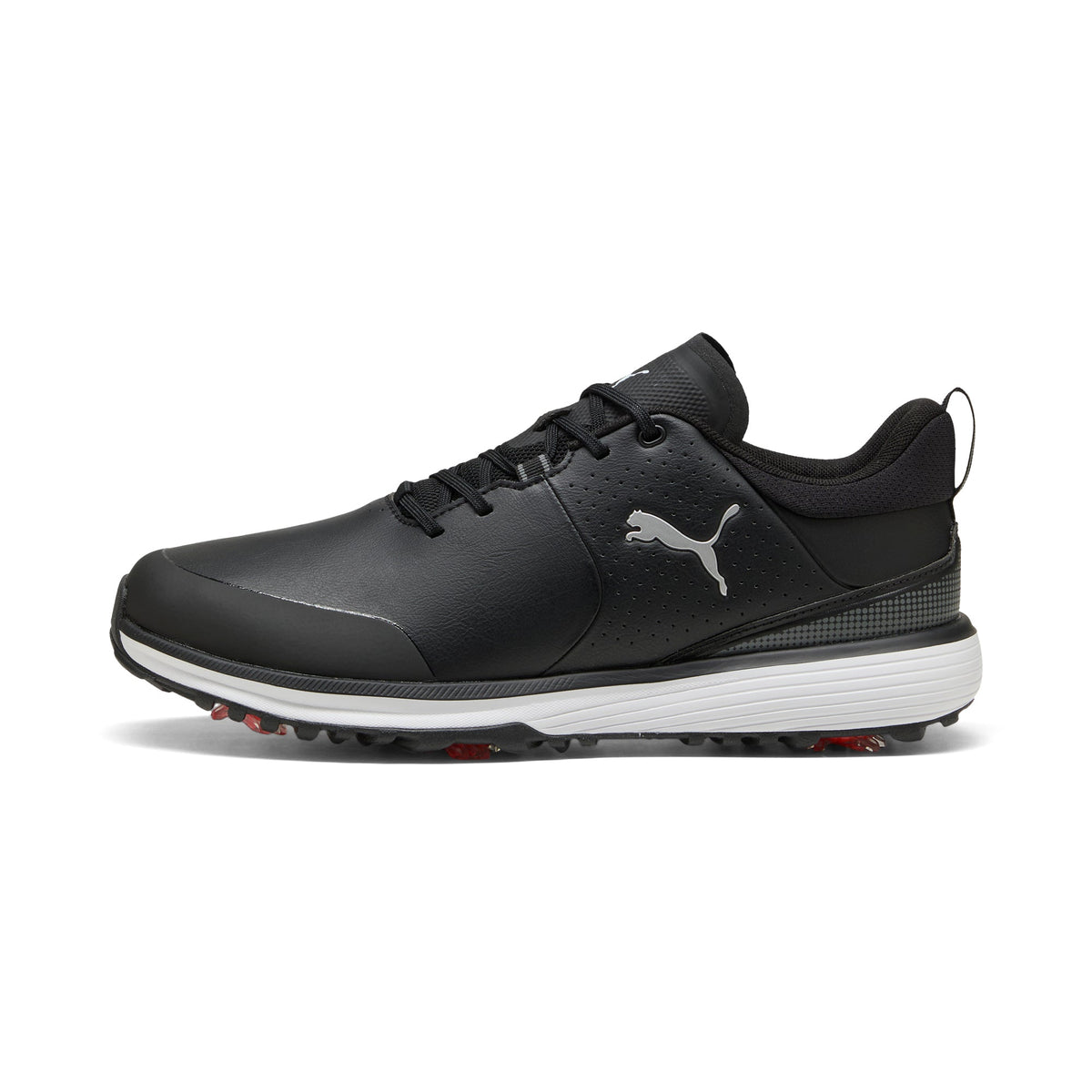 Puma White / Puma Silver / Ash Gray,7