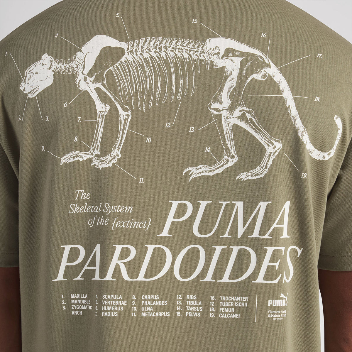 Gumtree Golf & Nature Club Pardoides Performance Tee / Puma Golf Great Value