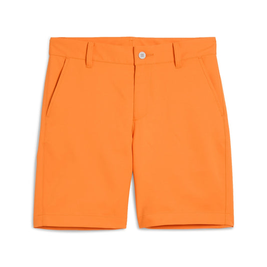Boy's Stretch Golf Shorts / Puma Golf Special Offer